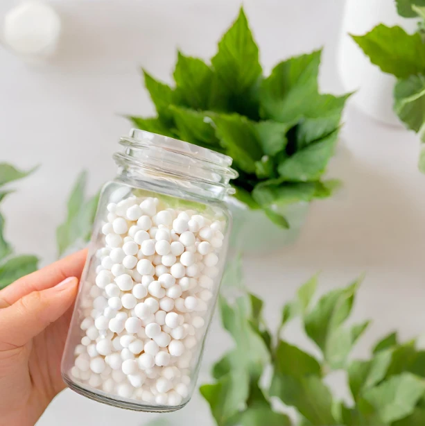 activated alumina in a long Glass container and there are green leaves in pot in background