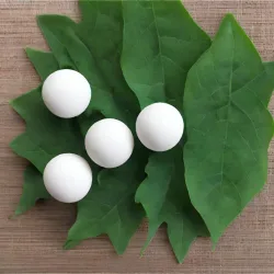 alumina balls with leaves in background