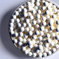 activated alumina in a dish